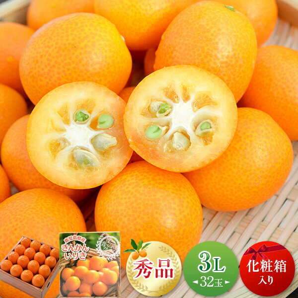 【ふるさと納税】＼皮までまるごと／鹿児島県産きんかん「いりき」【3L・32玉入】化粧箱 1月より順次お届け JA北さつま 季節限定 キンカン 金柑 きんかん 薩摩川内市特産