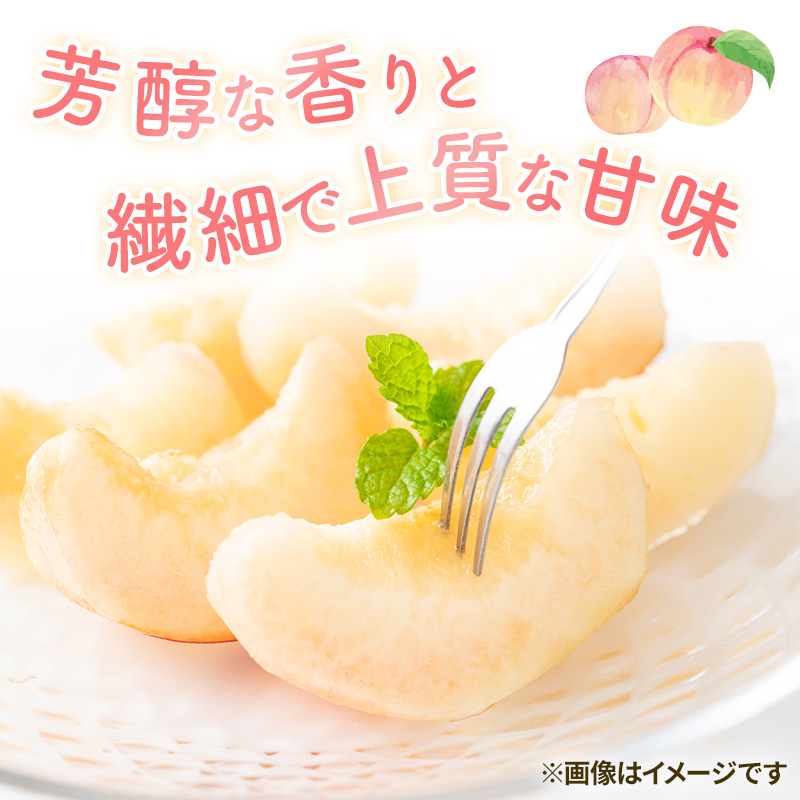 2026年 早期受付 岡山県産 清水白桃 (約2.2kg)5～7玉 桃 白桃 も