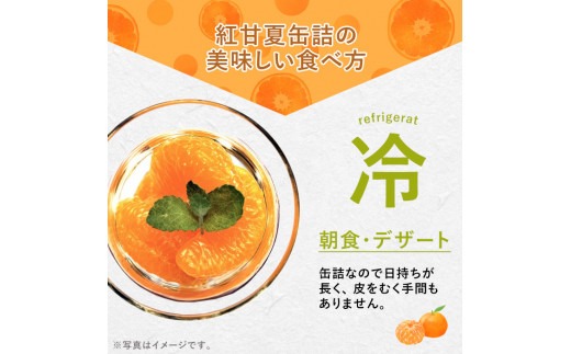 紅甘夏缶詰(295g×6缶)国産 柑橘 果物 フルーツ あまなつ 加工品 缶詰め デザート おやつ【鹿児島いずみ農業協同組合】a-14-49