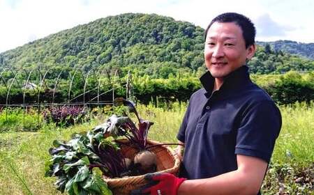 季節限定 ビーツ (レッドエース) 約3kg 野菜 やさい 健康野菜 スーパーフード 冷蔵 北海道 愛別町