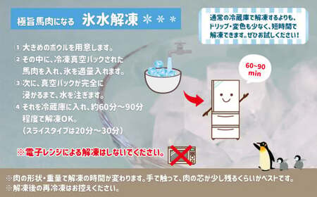 国産 上赤身 馬刺し 600g ｜ 肉 ニク 馬刺し 国産 赤身 生食用 たれ付き 醤油 馬肉 冷凍 人気 絶品 熊本県 玉名市