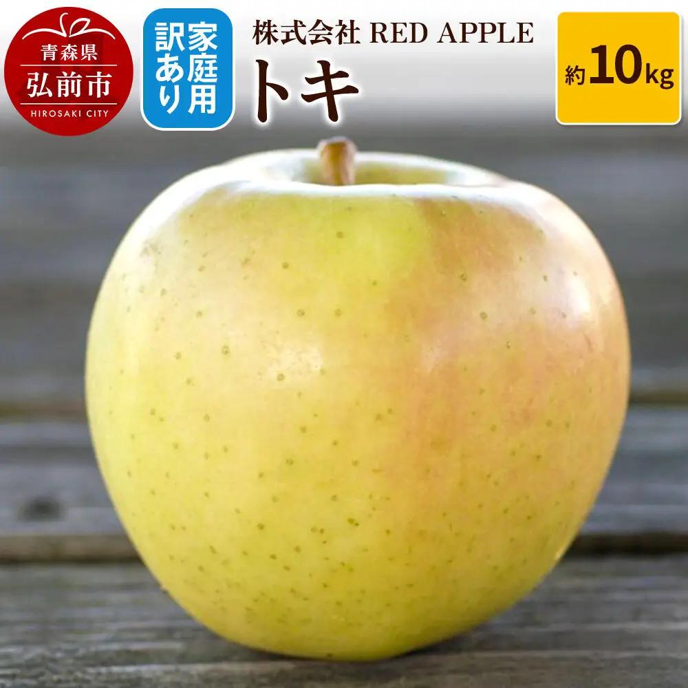 【26年10月中旬～発送】りんご【訳あり】家庭用 トキ 約10kg