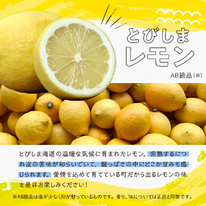 【2025年11月下旬～発送】とびしまレモン1kgとレモンシロップセット ku118-007-25