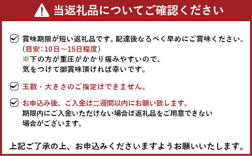 【先行予約】 恋する 不知火 約2kg 訳あり品 【御舩果樹園】【2025年4月上旬から2025年6月下旬発送予定】果物 くだもの フルーツ 柑橘 しらぬい 国産