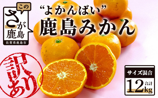 みかんの皮に傷などがあり、外観は良くないですが、中身はおいしいみかんです