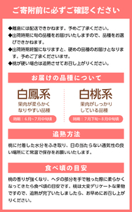 〈2026年度配送分〉甲府市産　大玉桃　約2kg (4～6玉)