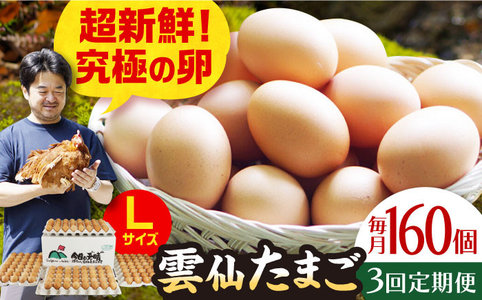 
【全3回定期便】Lサイズ160個(150個＋割れ補償10個入り) 長崎県/塚ちゃん雲仙たまご村 [42ACAE026] 卵 玉子 タマゴ 鶏卵 長崎 島原 九州
