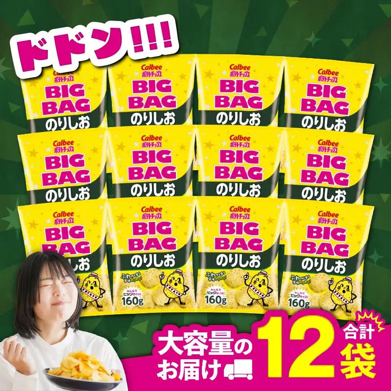 カルビー ポテトチップス BIGBAG【のりしお】12袋 K194-002_08 菓子