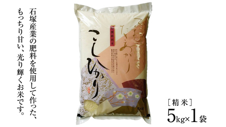 ＼ 7月出荷 ／【令和7年産】コシヒカリ 精米5kg（5kg×1袋）（茨城県共通返礼品 かすみがうら市産） [EX010sa-07]