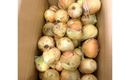 淡路島産 新たまねぎ 10kg 新玉ねぎ 玉ねぎ 玉葱 タマネギ 甘い 兵庫県 洲本市 淡路島