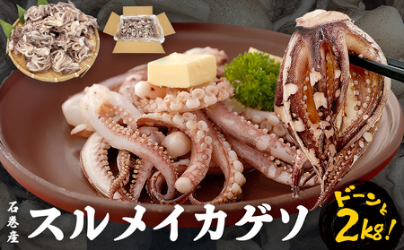 訳あり 石巻産 スルメイカ ゲソ 2kg 冷凍 スルメイカ