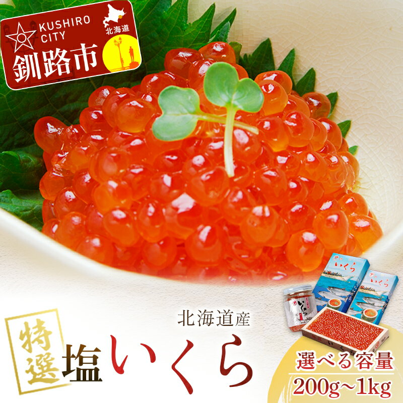 【北海道産】　ア特選　塩いくら　500g