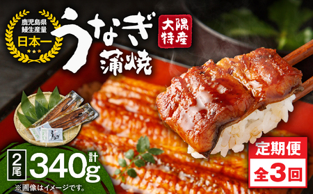 2479 【 定期 3回 】大隅特産 うなぎ蒲焼 2尾（340g）【 国産 】 KN060-T03 魚 冷凍 鰻 定期便
