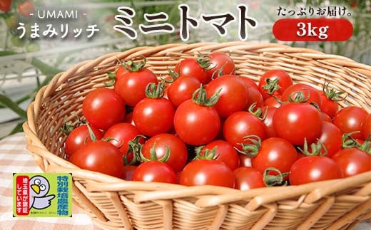 ＜特別栽培農産物＞ファームサイドのこだわりミニトマト 3kg 野菜 トマト ミニトマト 特別栽培 農産物 サラダ ピクルス 炒め物 食品 本庄産 関東 F5K-511