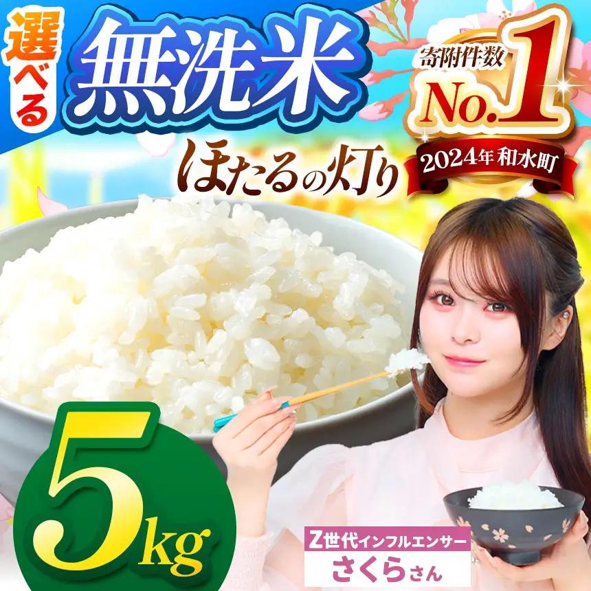 令和7年産 熊本県産 ほたるの灯り 無洗米 5kg | 選べる 銘柄 ほたるの灯り 森のくまさん 容量 5kg 10kg 15kg 20kg 25kg 30kg特A 小分け  訳あり 規格外