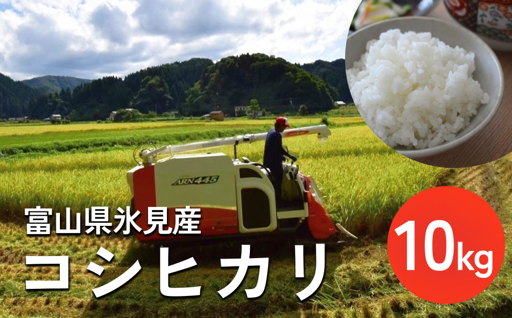 
令和6年産 富山県氷見産 コシヒカリ 10kg 種類が選べる（玄米 3分づき 5分づき 白米 無洗米） | お米 選べる 精米 玄米 分づき米 無洗米 富山 氷見 米 こしひかり 数量限定 農家直送
