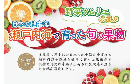 
【定期便3回】野菜ソムリエの選ぶ日本の地中海、瀬戸内海の旬の果物
