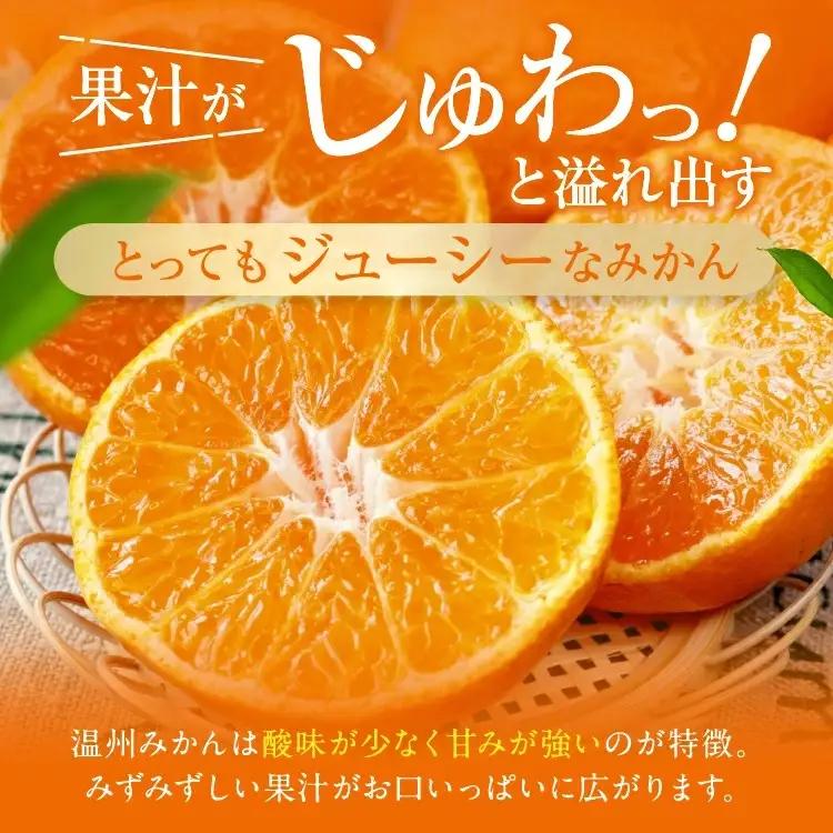 熊本県産 温州みかん 糖度厳選プレミアム 約3kg | 果物 フルーツ くだもの みかん ミカン 温州ミカン 熊本県 玉名市 味采市場