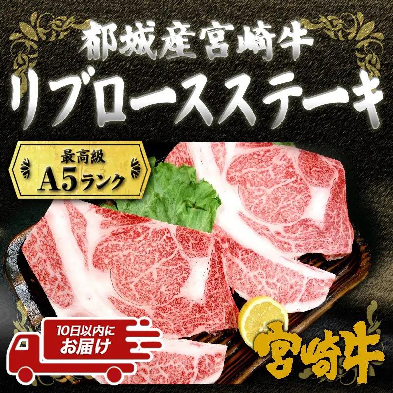 宮崎牛(A5)リブロースステーキ300g×2枚≪みやこんじょ特急便≫〔AD-0103-Q〕_(都城市) 5等級 ステーキ用肉 300g×2枚セット ブランド牛肉 ブランド国産黒毛和牛 脂の旨味 ギフト