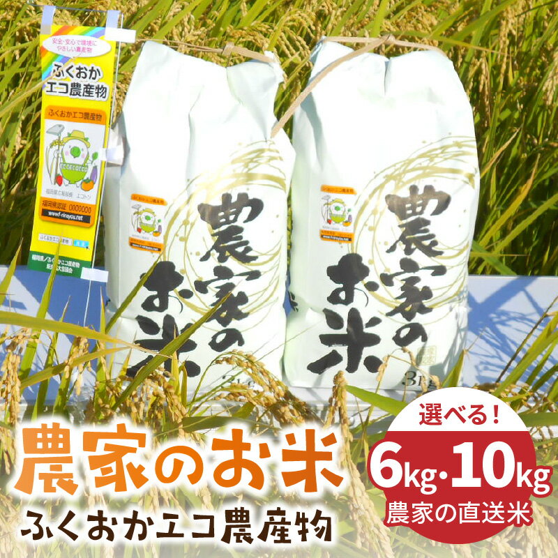 【ふるさと納税】＼選べるお届け内容量／農家の直送米　ふくおかエコ農産物＜農家のお米＞6kg・10kg