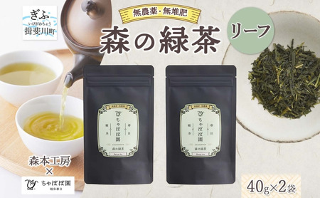 緑茶 森本工房 リーフ 一番茶 ちゃぼぼ園 緑茶【40g 2袋】