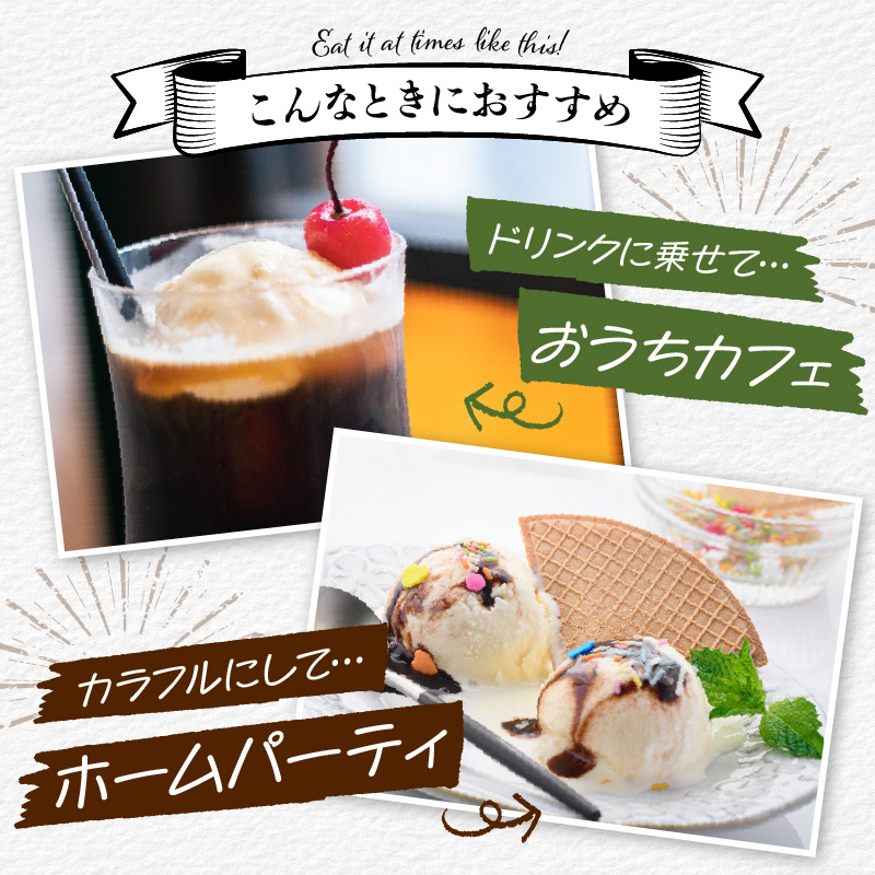とよとみ牛乳ソフトクリーム パーティーサイズ【ミルク/季節のミックス 各1個1L（計2L）】｜訳あり 業務用 ファミリーサイズ
