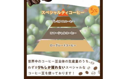 【栽培期間中農薬不使用】自家焙煎コーヒー豆　お試しセット（100gx3種）八月の犬　珈琲豆　ドリップ　飲み比べ　コホペ　HA00016
