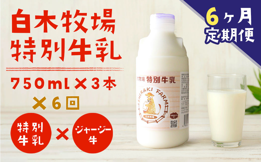 
【6ヶ月定期便】 白木牧場 特別牛乳 750ml×3本 低温殺菌 牛乳 ジャージー牛乳 高品質 福岡県 嘉麻市
