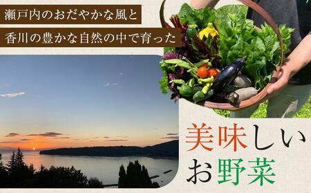 【定期便全4回】旬の採れたて 7～10種類お野菜詰め合わせセット TAGATAME タガタメ【野菜 特別栽培 栽培期間中農薬不使用 採れたて 香川県 さぬき市】