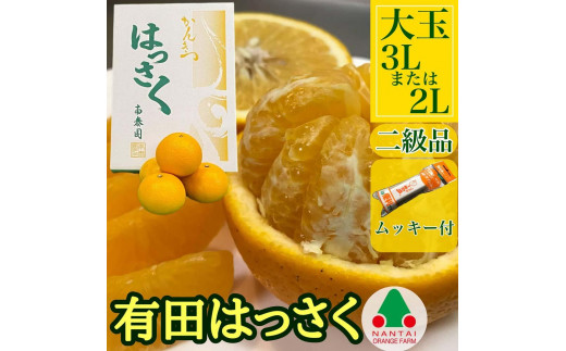 
                  手詰め 有田 はっさく 大玉 3L × 6玉 または 2L × 7玉 ちょっと 傷あり ムッキー 同梱 南泰園 みかん
                