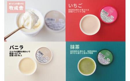 『牧成舎』飛騨の牛乳屋が作るミルクの旨味たっぷりアイスセット 15個（カップ9個&もなかアイス6個）| アイス DF025