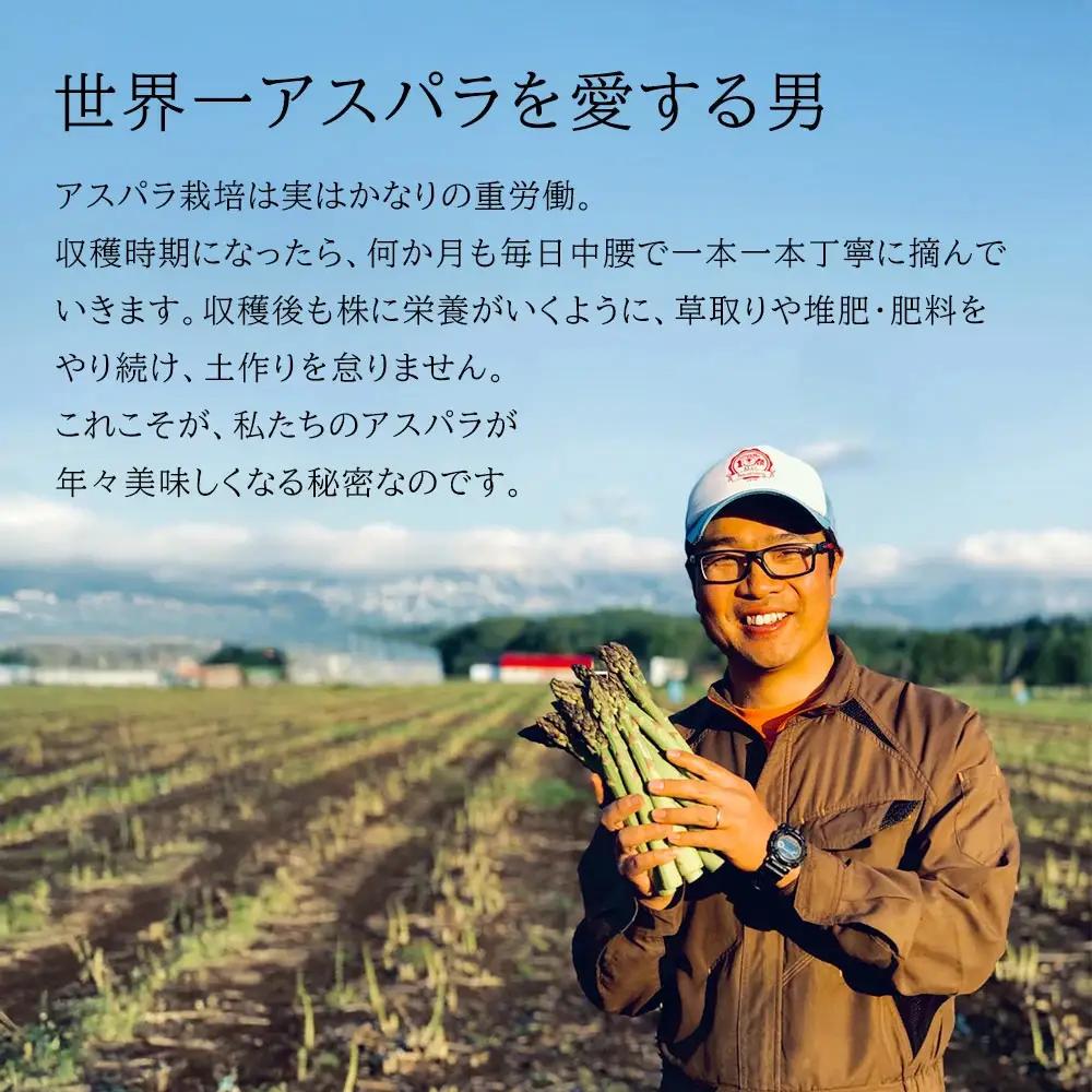 【令和9年産先行予約】アスパラガス 2Lサイズ 1kg. ラスノーブル グリーンアスパラ 北海道