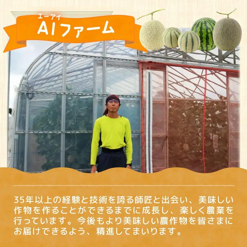 【先行予約】【赤肉】秋 アールスメロン 2玉（計約3.2kg以上）赤肉品種 高級メロン！ ／ マスクメロン 大玉 果物 フルーツ 夏 ギフト 農家直送  ※2026年9月中旬以降発送  [aw065-