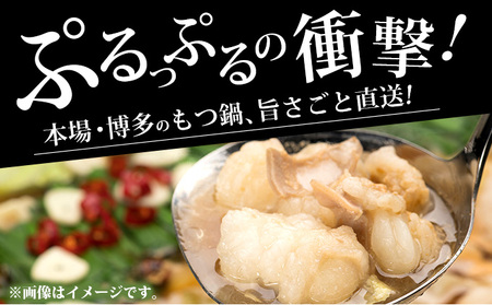 牛もつ鍋 醤油味 3人前（3人前×1セット）