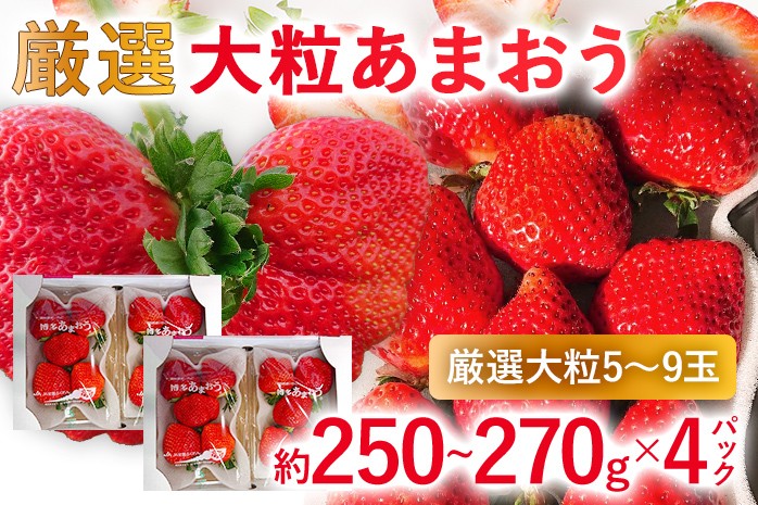 
                  【2027年発送先行予約】厳選大粒あまおう(約250-270g x 4パック) お取り寄せグルメ お取り寄せ 福岡 お土産 九州 福岡土産 取り寄せ グルメ 福岡県
                