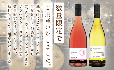 【数量限定】牧内アンウッディドシャルドネ＆アンベラシー(ロゼ)セット 酒 飲料 アルコール 国産_T014-010【 酒 飲料 アルコール 国産 人気 ワイン ギフト ワイン 食品 ワイン お酒 ワイ