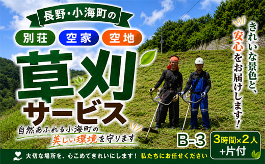 
                  B-3「別荘・空家・空地」 草刈サービス 3時間×2人 +片付
                