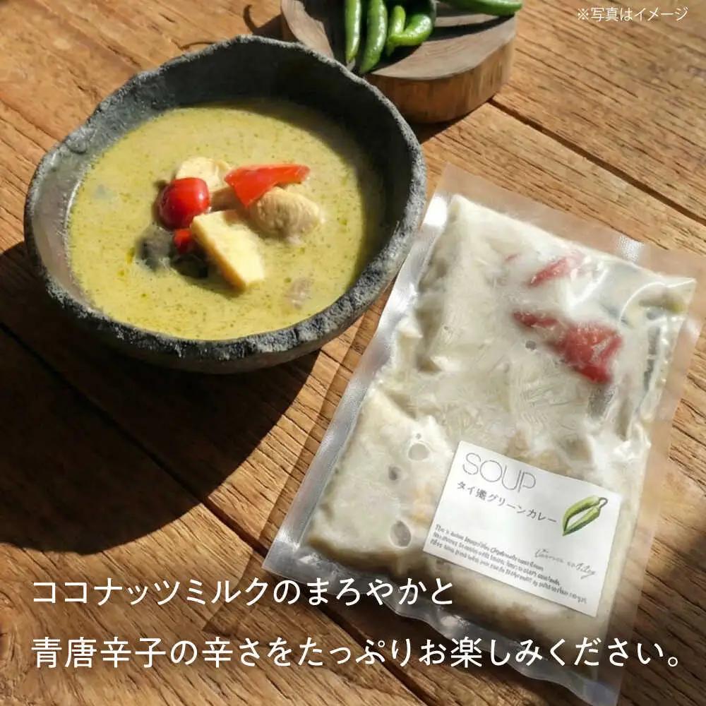 【全6回定期便】グリーンカレー 約180g×5パック 計900ｇセット 【SOUP LAB】[AYAK015]