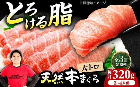 【全3回定期便】たね熟天然本まぐろ大トロ(320g)[AOCE022]マグロ