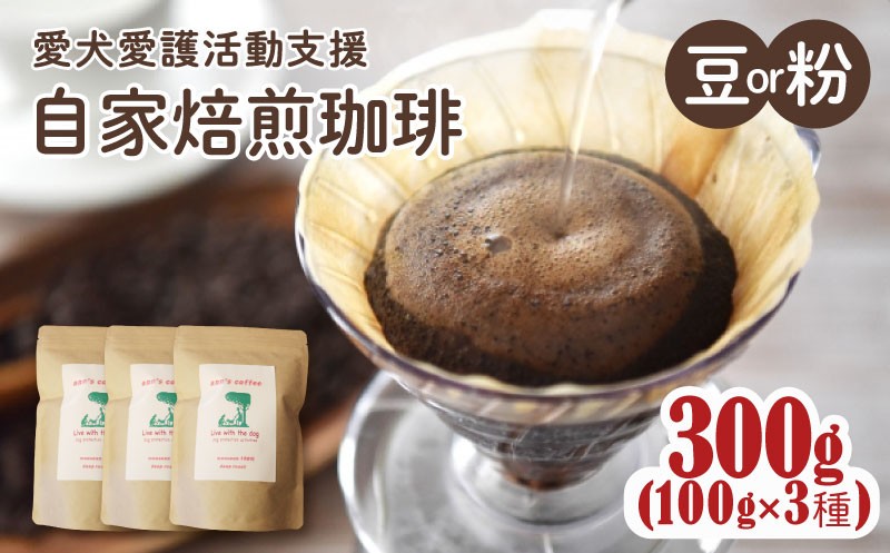 
                  【店主おまかせ】 自家焙煎珈琲豆 3種 300g 選べる 豆/粉 100g×3種 ann's cafe  ( ブレンドコーヒー コーヒー コーヒー豆 自家焙煎 珈琲 こーひー 豆 粉 水出し ドリンク 飲料 人気 おすすめ ハンドドリップ ブラジル コロンビア チャリティ 動物支援 動物福祉 保護活動 動物愛護 愛犬愛護 アウトドア キャンプ リラックス お取り寄せ 京都府 京都 京丹波町 )
                