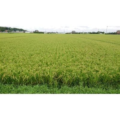 ふるさと納税 行方市 令和8年産新米【できるだけ農薬を減らした】こしひかり玄米5kg |  | 01