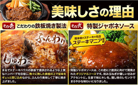 肉 ハンバーグ 温めるだけ 鉄板焼き 肉肉ハンバーグジャポネソース 150g 18個 《7-14営業日以内に出荷予定(土日祝除く)》熊本県 大津町 国産 牛肉 豚肉 鶏肉 ハンバーグ 温めるだけ 専門