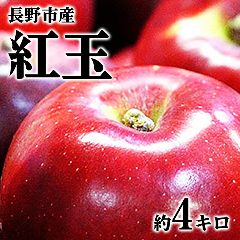 【ふるさと納税】【2025年9～10月発送 先行予約】長野市産　紅玉　約4キロ 果物類 林檎 りんご リンゴ 約4kg フルーツ 　お届け：2025年9月下旬より順次発送