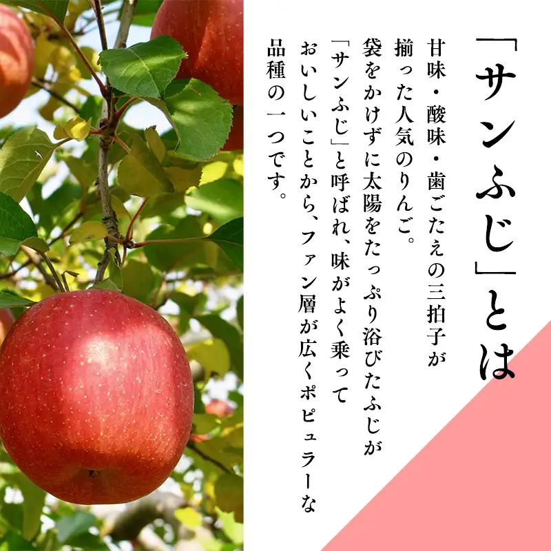 りんご  糖度選別サンふじ 約5kg りんご