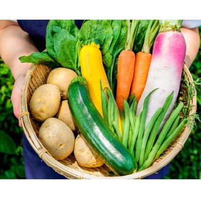 ふるさと納税 久万高原町 【毎月定期便】旬野菜と加工品セット全6回