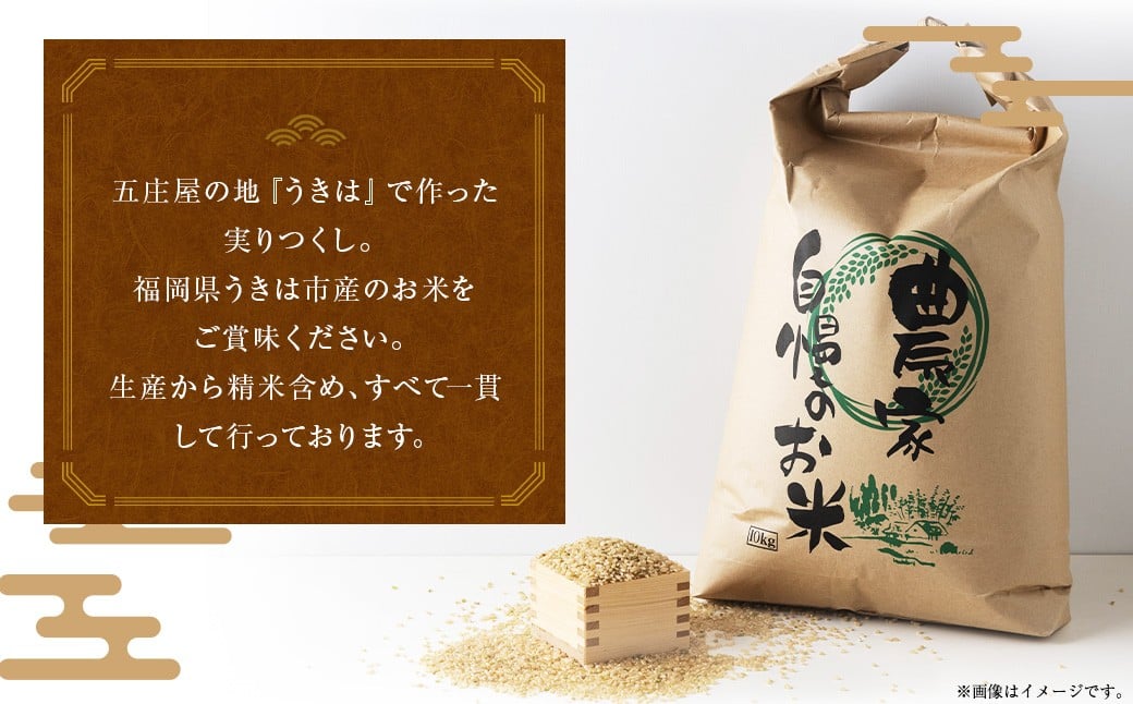 五庄屋の地で作った お米 実りつくし 玄米 5kg 米  ご飯 国産 九州産 福岡県 うきは市 【2026年1月下旬発送開始】