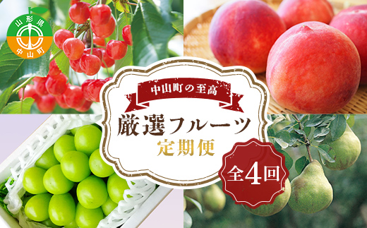 《2025年6月発送開始》中山町の至高！中山町厳選フルーツ定期便 全4回 佐藤錦 白桃 シャインマスカット ラフランス さくらんぼ サクランボ 葡萄 ぶどう ブドウ 桃 もも モモ 梨 洋梨 洋ナシ ラフランス 山形県産 フルーツ 果物 くだもの 連続 F4A-0374