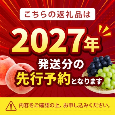 2027年発送先行受付【圧倒的なTV出演実績】メディア出演に裏打ちされた『樹上完熟ブランド桃』【配送不可地域：離島・北海道・沖縄県・中国・四国・九州】