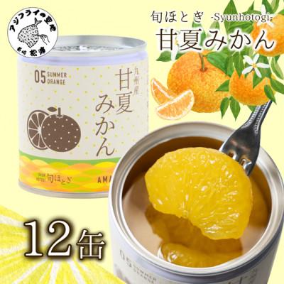ふるさと納税 松浦市 缶詰工場直送　特選果実「旬ほとぎ」甘夏みかん12缶