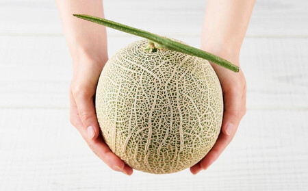 【先行予約】 北海道産青肉メロン約1.3kg×2玉 (2026年7月中旬から発送予定)  | メロン_05290